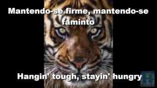 Survivor - Eye of tiger ( Olho do Tigre) legendado Português/ inglês Damor #17