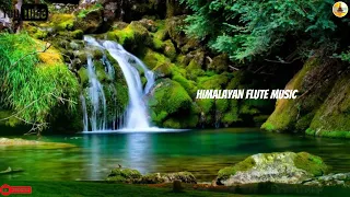 Himalayan Flute Music || Morning Flute Music || Meditation || Relaxing || Sleepning