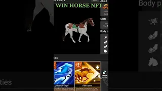 Winning with "WIN HORSE NFT"  Digital Race Horses on the Tron and BInance Network! [See My Horses]