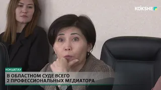 В областном суде всего 2 профессиональных медиатора