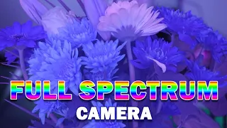 Full Spectrum Camera vs Normal Camera. How They See the World Differently.