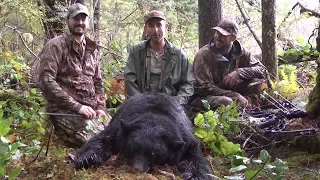 Vancouver Island Black bear hunt DIY