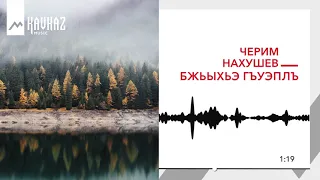 Черим Нахушев - Бжьыхьэ гъуэплъ | KAVKAZ MUSIC