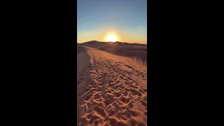 Dubai Desert 🇦🇪 #shorts | Dance of the Sands at Sunset