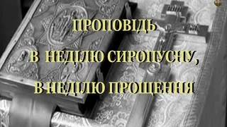 ПРОПОВІДЬ В СИРОПУСНУ НЕДІЛЮ, НЕДІЛЮ ПРОЩЕННЯ