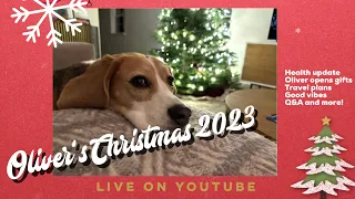 Oliver's 2023 Christmas livestream; opening his FIRST CHRISTMAS PRESENT of the season!