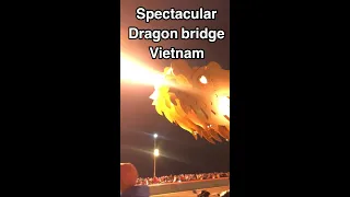 This Dragon bridge breathes fire 🔥 Da Nang | Vietnam Travel Vlog