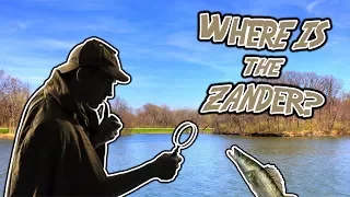 Want to Catch Zander? HERE'S HOW YOU FIND THEM!