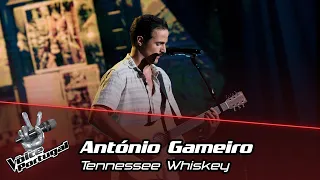 António Gameiro - "Tennessee Whiskey" | Blind Audition | The Voice Portugal