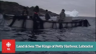 Land & Sea: The Kings of Petty Harbour, Labrador
