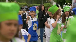 Desfile alegórico de Escolas da Feira da Regueifa e do Biscoito de Valongo 2018
