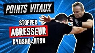 Comment STOPPER un AGRESSEUR avec un POINT VITAL [Self défense - Kyusho Jitsu]