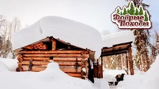 For 3 days in a distant log hut. Beautiful winter forest in Northern Russia.