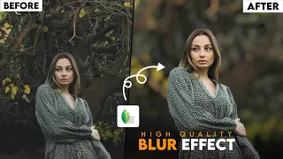 High Quality BLUR EFFECT in Snapseed | Photo Editing Tutorials - EDITOR NIZAM SAIFI