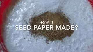 How is Seed Paper made?