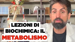 Cos'è il Metabolismo ed i processi metabolici