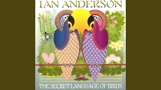 The Secret Language Of Birds