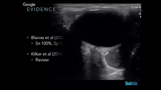 Ocular: Trauma & Swelling (5/5)