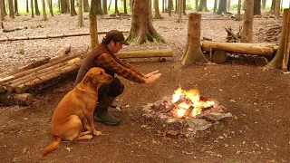 Building A Bushcraft & Survival Camp | Woodland Project | Viking House | Parachute | Fire | Dog