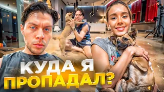 МИЛЫЙ ИРЛ СТРИМ ФРАМЕТАМЕРА, КИРЫ И ФОКСИ! КУДА ПРОПАЛ ФРАМЕТАМЕР? | ВОПРОС - ОТВЕТ