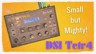 Dave Smith Tetra 2024 -  Quick Look #dsi #dawless #analogsynth #sequential