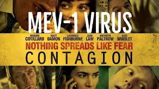 contagion movie explanation in hindi | movie  explained