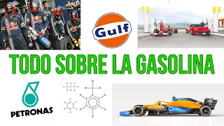 TODO SOBRE LA GASOLINA EN UN COCHE: QUÉ ES, F1, OCTANOS Y VARIAS ANÉCDOTAS