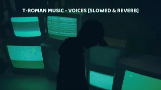 T-ROMAN Music - Voices REMIX [Slowed & Reverb]