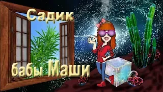 Американские  магазины свободной Конопли (Марихуана, Ганджа). С Hачалом Сезона!