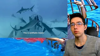 Reacting to Mark Rober Shark Attack Test- Human Blood vs. Fish Blood