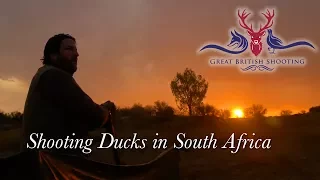 Shooting Ducks in South Africa