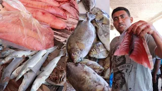 Behind the Scenes Somali Fish Cutting