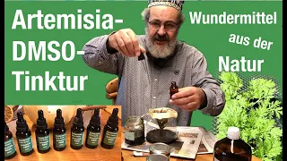 Artemisia DMSO Tinktur Wundermittel aus der Natur