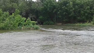 San Gabriel River at Scurlock Farms Georgetown TX