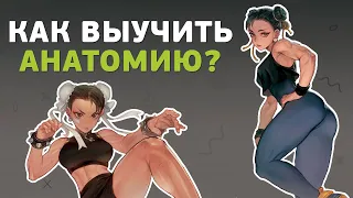 Как выучить анатомию?