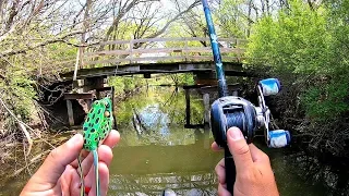 HIDDEN Backwater Pond is LOADED w/ Fish!!