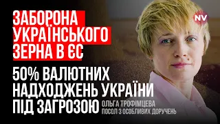 Хто винен? Польща, Угорщина, Словаччина забороняють зерно з України – Ольга Трофімцева