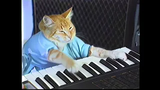 KEYBOARD CAT ! (8K 60fps) Улучшенный мем 🙀🐱‍👤🐱‍🚀