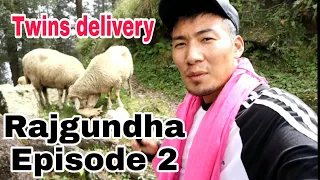 Rajgundha Trek || Episode 2 || No regret || Tibetan vlogger || Bir ||