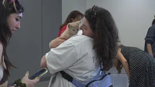 Shelter holds 'Kitten Kraze' party for Taylor Swift album release