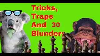 Tricks, Traps And Blunders 30 | The World Greatest Chess Blunders