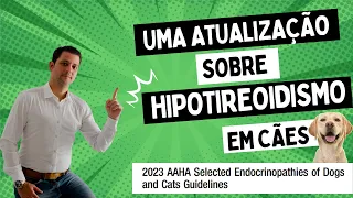 Uma atualização sobre hipotireoidismo em cães