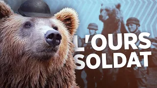 Wojtek, l'ours soldat