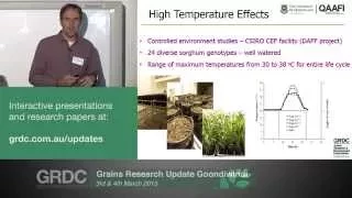 Grains Research Updates 2015 | Goondiwindi | Sorghum: Varietal reactions to heat stress - S. Chapman