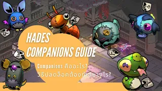Hades Companions Guide: Companions คืออะไร? จะปลดล็อคได้อย่างไร? ต้องทำอย่างไรถึงจะใช้กับบอสใหญ่ได้?