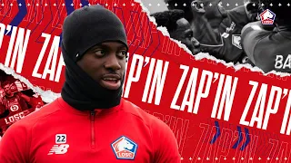 ZAP'IN LOSC | L'heure des BONNES RÉSOLUTIONS des Dogues 🔥