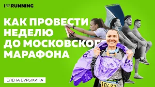 Как провести неделю до Московского Марафона // разбор трассы на 10 километров и марафона