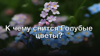 К чему снится голубые цветы? Толкование сна и его значение по сонникам Ванги и Фрейда