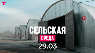 Сельская среда 29.03.2023