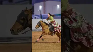 Gunslinger Gallop: The Fearless Horsewoman's Wild Ride ,Horse Whispers, Horse videos, Equine Moments